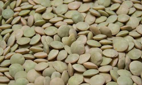 Columbia Bean Lentils